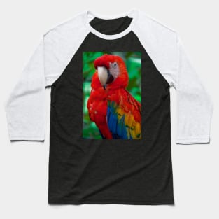 Panama. Bocas del Toro. Macaw. Baseball T-Shirt